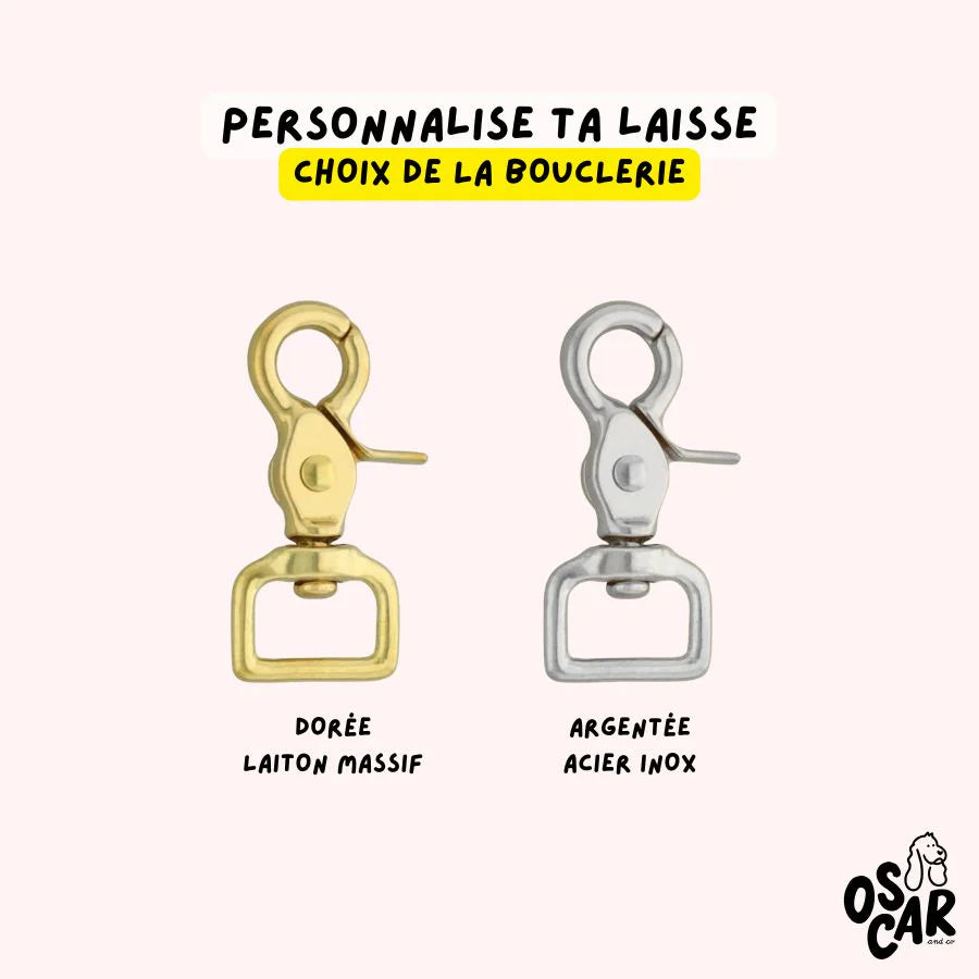 Laisse Biothane