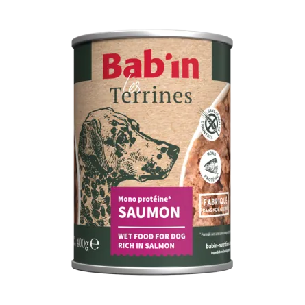 Terrine Mono protéine Saumon